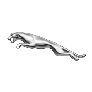 JAGUAR JAGUAR